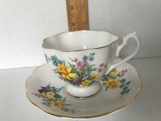 Pretty Spring Daffodils Queen Anne Tea Cup and Saucer Set Cond. 7
