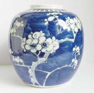 19th C Chinese Kangxi Marks Blue And White Prunus Porcelain Jar - Height 5.  5 "