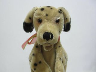 STEIFF Dalmation Hand Puppet Vintage 1950s Dally Dog 1955 - 1956 Only 2