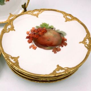 6 Berlin KPM Porcelain Fruit Plates - Raised Gilt,  Fruit Theme,  Antique - 7.  5 