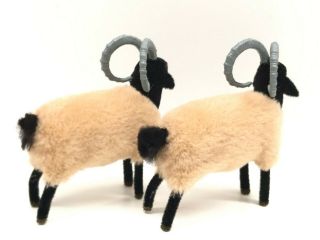 V5 2 rare Moor Sheep Animal Wagner Kunstlerschutz vintage Toy German 2