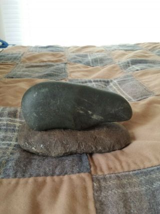 Ancient Native American Bear Effigy Nutting Stone