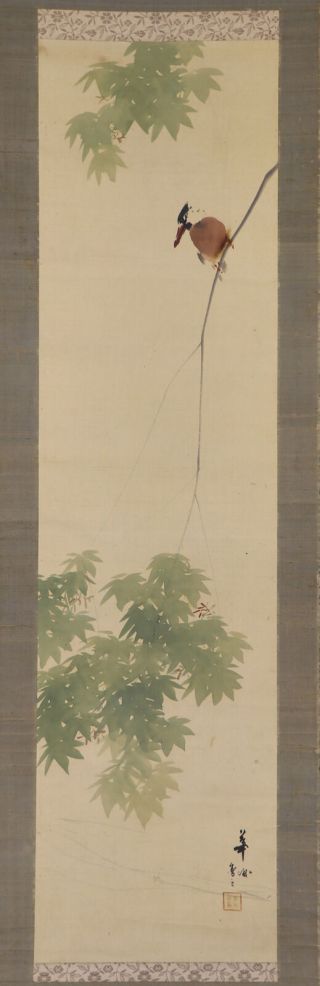 Japanese Hanging Scroll Art Painting " King Fisher " Asian Antique E7577