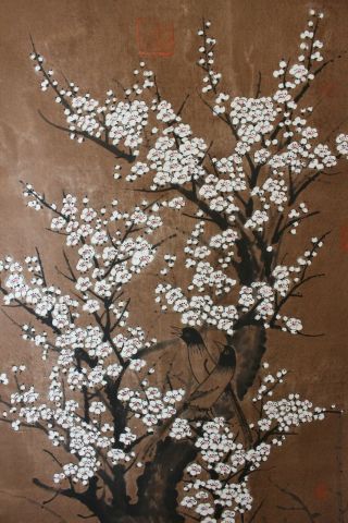 T02w9 Gorgeous White Ume Plum Tree & Little Birds Chinese Hanging Scroll