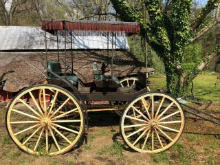 HORSE DRAWN CARRIAGE WAGON BUGGY ANTIQUE SURREY FRINGE TOP 4