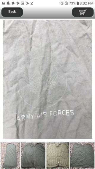 RARE WWII US ARMY AIR FORCES SLEEPINBAG TYPE A3 GOOSE DOWN PAID 300$ @ 8