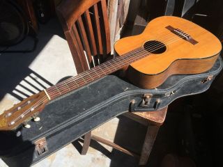 Vintage Favilla Bros.  Guitar,  1950 