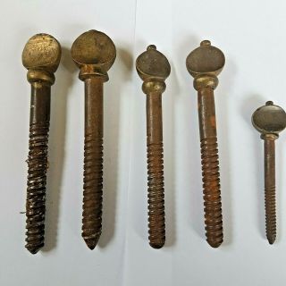 5 19th C Antique Brass Thumbscrew Screw Fasteners