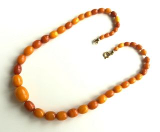 15 gr.  Antique Vintage Butterscotch Egg Yolk Natural Baltic Amber Necklace Beads 2