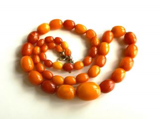 15 gr.  Antique Vintage Butterscotch Egg Yolk Natural Baltic Amber Necklace Beads 3