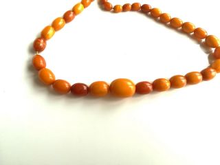 15 gr.  Antique Vintage Butterscotch Egg Yolk Natural Baltic Amber Necklace Beads 5