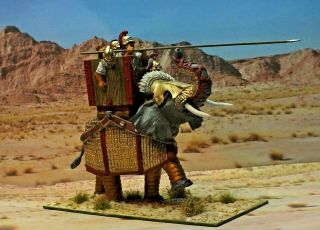 28mm Ancients - Successor Armoured Elephant Unit 