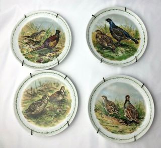 Vintage 4 Hand Painted Game Bird Plates,  Set,  Signed Brown 6 1/2 "