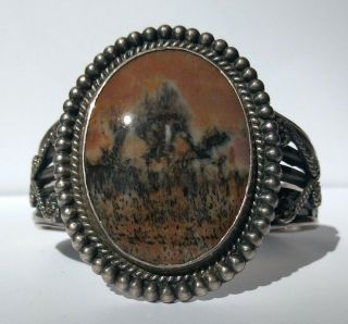 Vintage Navajo Indian Silver Scenic Petrified Wood Cuff Bracelet
