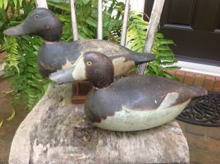 Antique Vintage Old Wooden Hayes Factory Bluebill Pair Duck Decoys