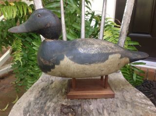 Antique vintage old wooden Hayes factory Bluebill PAIR duck decoys 3