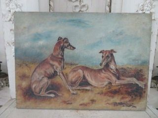 The Best Old Vintage Oil Painting 2 Dogs Whippet Dog Well Painted On Canvas