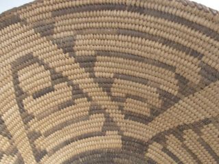 Antique Pima Native American Indian Basket 15 