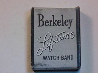 Stainless Steel Watchband (berkeley) As In Px/ship 