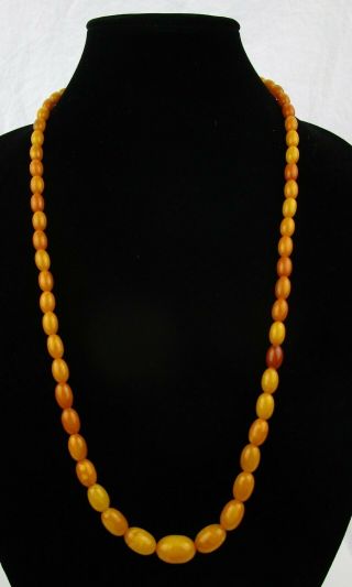 Amber Bead Necklace Graduated 31 " Long Vintage 34.  7 Grams