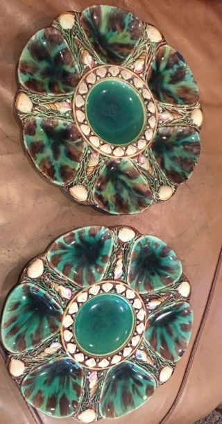 Antique Victorian Majolica Oyster Plate Shell Seaweed Motif Green