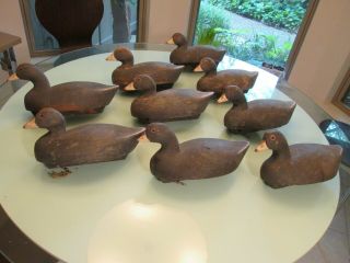 Flock Of 9 Solid Wood Old Vintage Duck Decoys