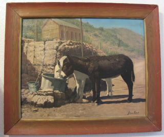 Vintage Oil Painting Burros Donkey Drinking At Well Bisbee Az Norman Edson