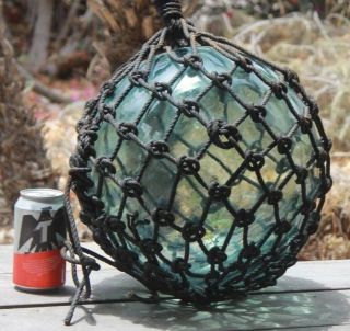 Large Signed Ff Vintage Japanese Blown Glass Fishing Float Buoy 40 " Tiki Bar