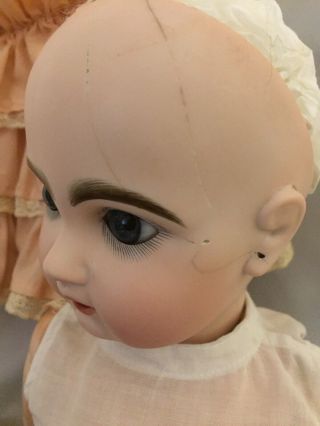 25” Tete Jumeau Fully Marked Antique French Bisque Doll - Stand 8