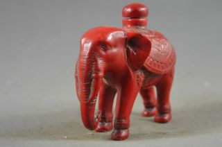 Collectable Chinese Coral Carve Elephant Souvenir Delicate Royal Snuff Bottle 2
