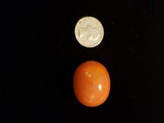 Vintage Baltic Large Egg Yolk Butterscotch Amber Bead 14.  4 grams g Huge 4