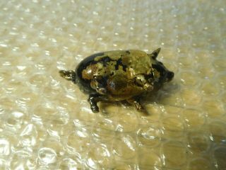 Vintage COLD PAINTED BRONZE Metal PIG Miniature FARM ANIMAL Charm Trinket Box 2