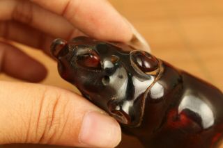 Chinese rare old ox horn Hand carving rhinoceros statue netsuke decoration gift 4