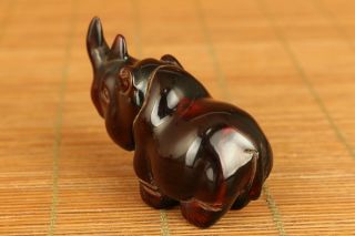 Chinese rare old ox horn Hand carving rhinoceros statue netsuke decoration gift 5