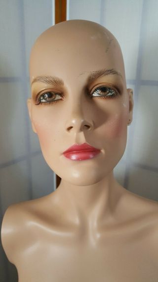 Vintage 1960 - 1970 Vogue Mannequin Upper Body With Head Female