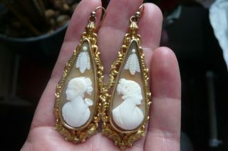 Victorian Shell Cameo And Gold Gilt Metal Earrings