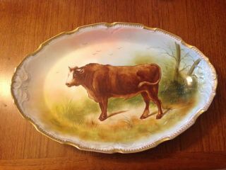 8 Antique,  Distinctive Limoges Cow Plates And Platter