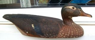 ANTIQUE CARVED WOOD HAWK BILL DUCK DECOY GLASS EYED HAND PAINTED DOCTORS ESTATE 2