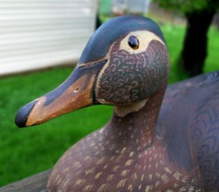 ANTIQUE CARVED WOOD HAWK BILL DUCK DECOY GLASS EYED HAND PAINTED DOCTORS ESTATE 4