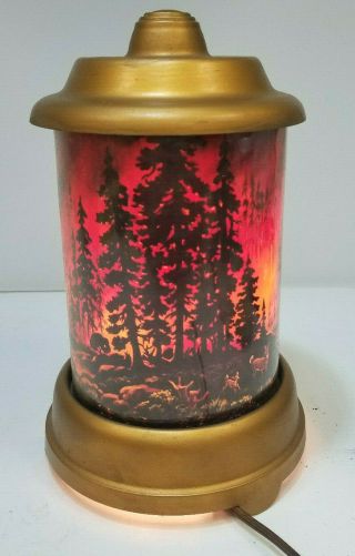 Econolite Electric Forest Fire Motion Lamp Roto - Vue Lamp Light Vintage