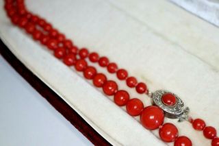 Antique Late Victorian Early 20th C Natural Red Coral Graduated Necklace