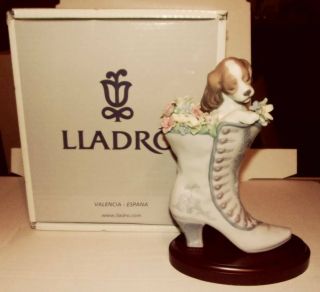 Vintage 1990 Lladro A Well - Heeled Puppy Dog Figurine.  06744.  Spain.  Rare