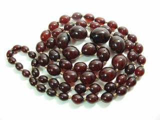 24 - Inch Cherry Amber Bakelite Necklace 1 - Inch To 7/16 - Inch Beads 107.  0 Gram