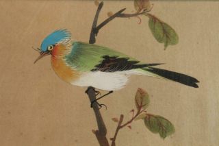 Chinese Semi Antique Painting on Silk Chrysanthemum Flowers & Bird Framed 3