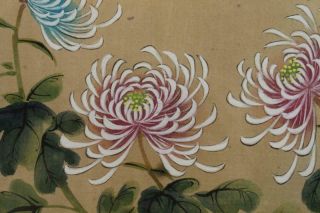 Chinese Semi Antique Painting on Silk Chrysanthemum Flowers & Bird Framed 5