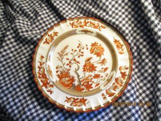 Spode - Copeland - " India Tree " - 10 1/4 " Plate= Vintage - Hand Painted