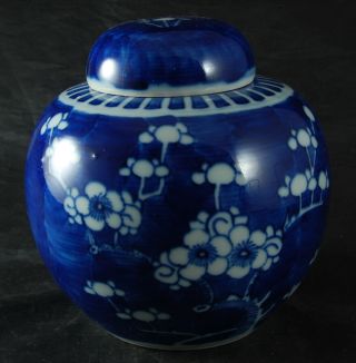 Blue And White Ginger Jar - Oriental Design - Lid