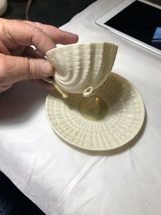Belleek Neptune Cup And Saucer Seashell