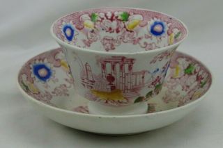 Cleopatra Francis Morley Pink Antique 19th Century Handleless Cup Saucer Smooth