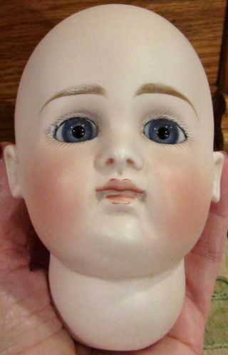 Very Rare Antique C1890 Closed Mouth Kestner Bisque Doll Head,  At Type